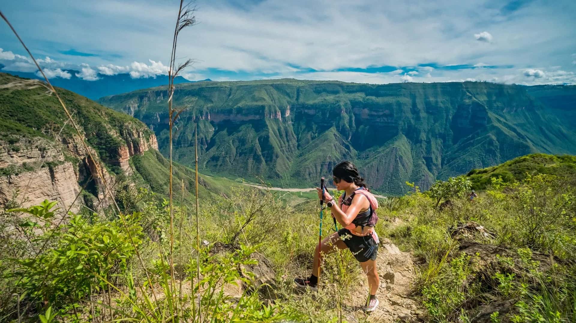 Runner with poles climbing a trail through the vegetation, facing the vast green walls of the Chicamocha Canyon