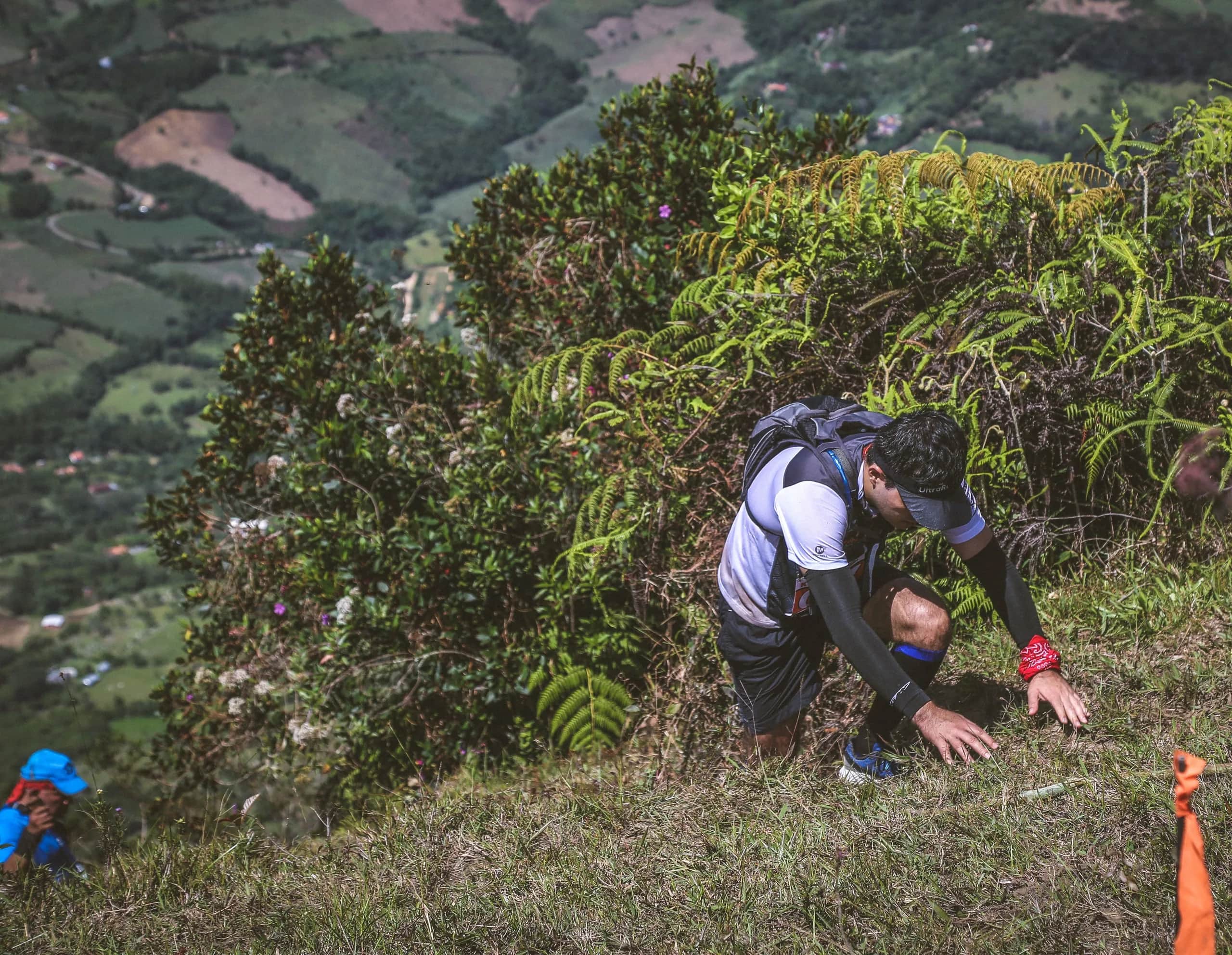 Runner scrambling on all fours through dense vegetation next to an orange course marker