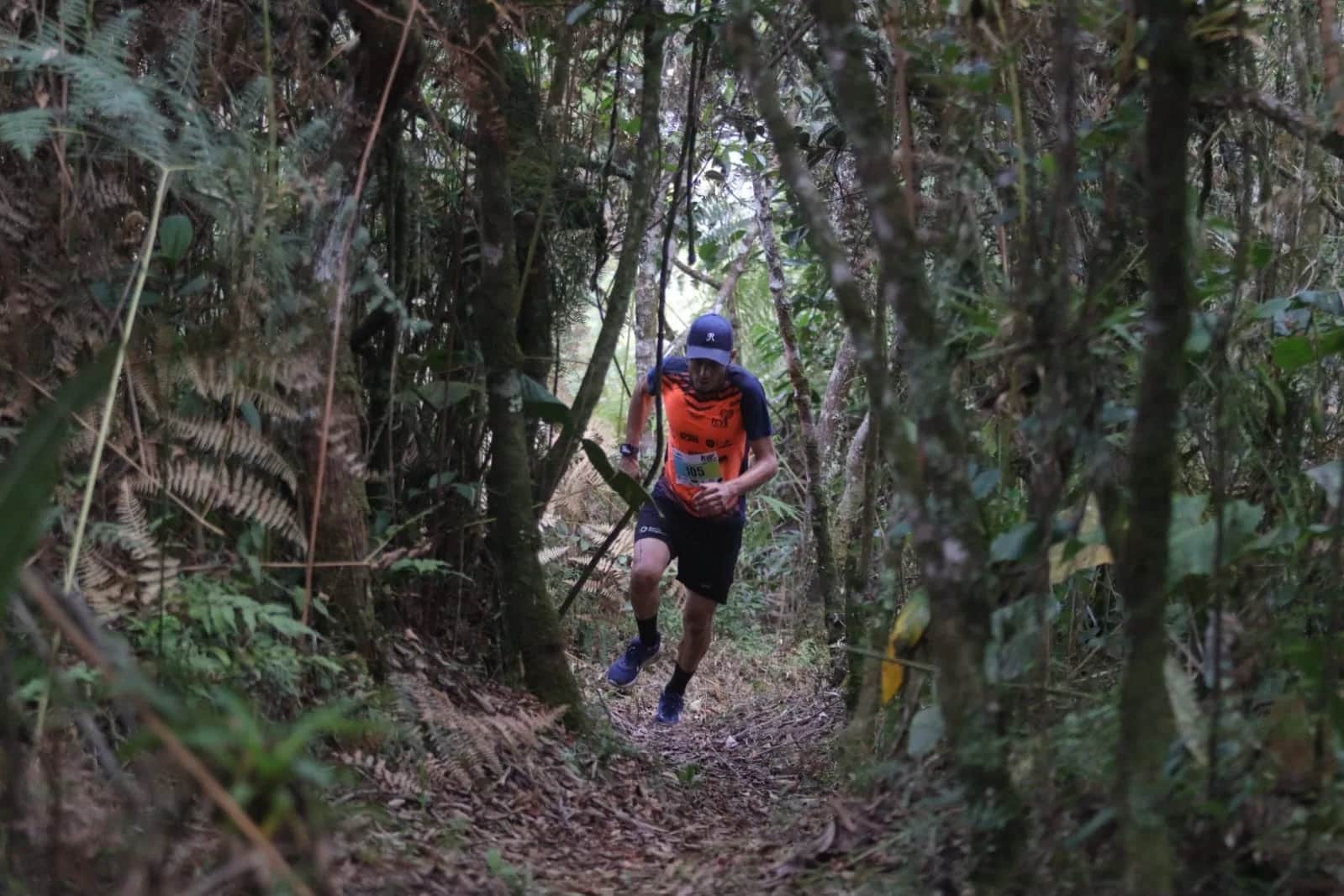 Runner on a trail through the sub-Andean forest
