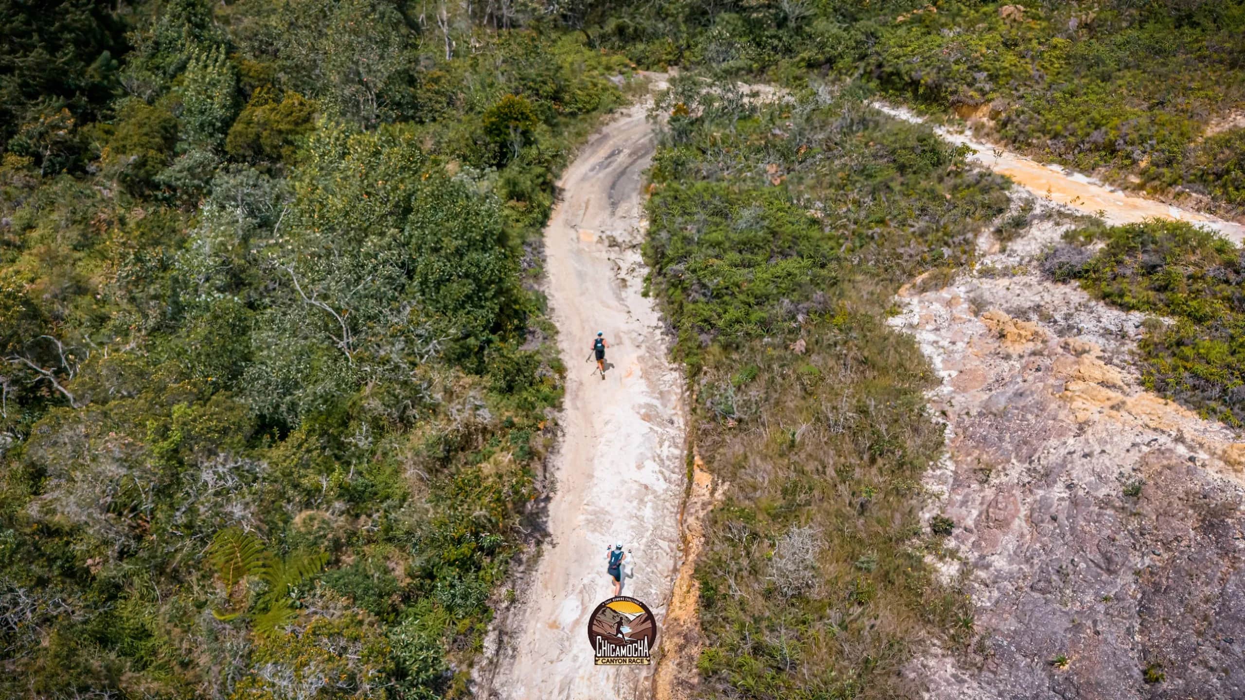 Vista aérea de un sendero que sube por la montaña, con dos corredores entre la vegetación