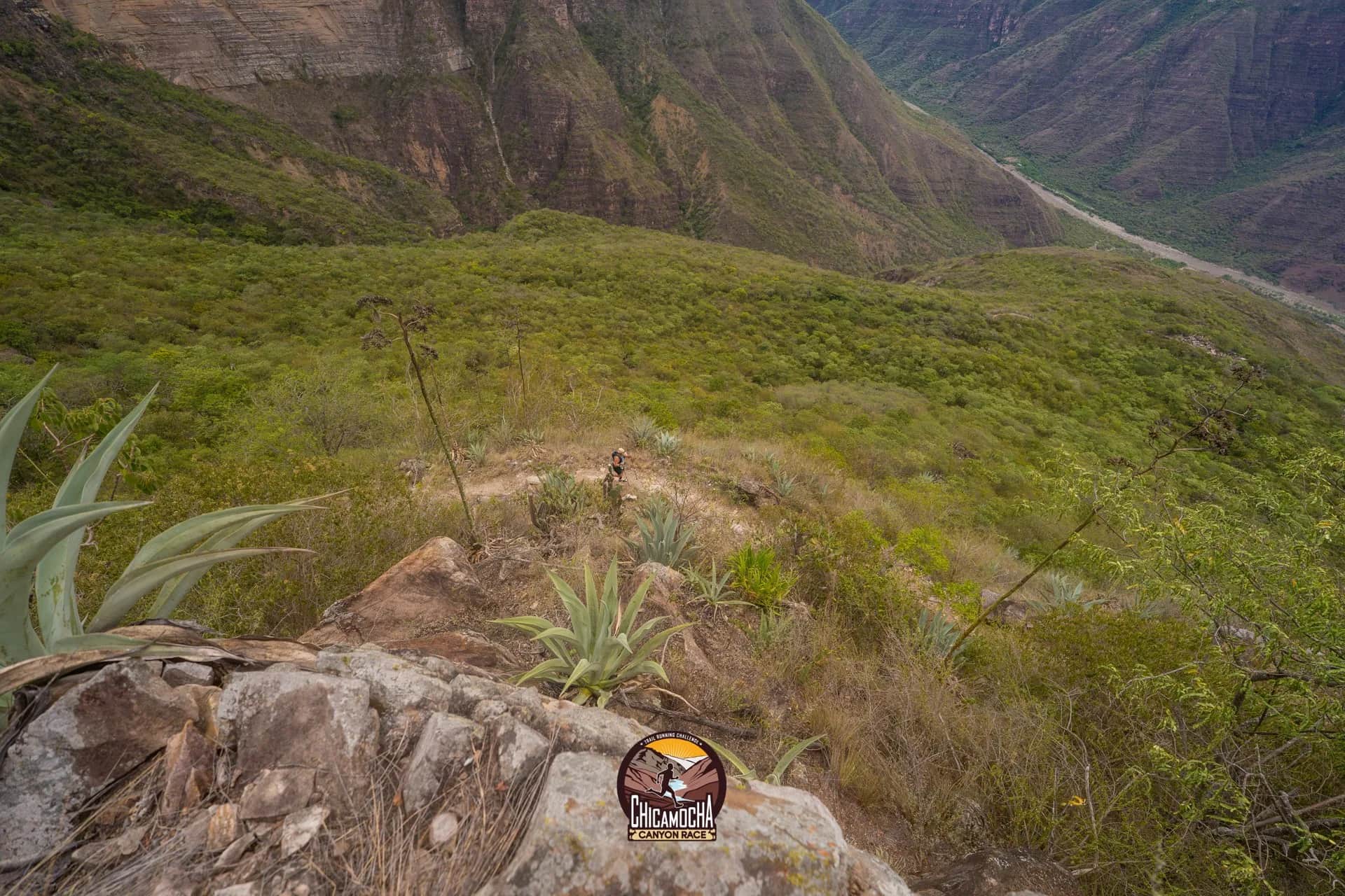 Ladera verde del cañón con agaves en primer plano y el río al fondo